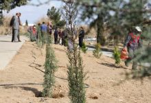 گزارش تصویری از آئیین درختکاری و تقدیر ازهمکاران فضای سبز دانشگاه